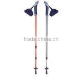 Nordic Walking Stick thumbnail-1