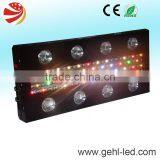 High Power LED Grow Light Best for Greenhouse Project thumbnail-5
