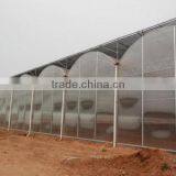 Cheap 30 x 100 Greenhouse thumbnail-2