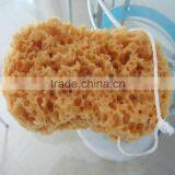 Car cleaning sponge, seaweed sponge, car sponge, cleaning sponge,car washing sponge