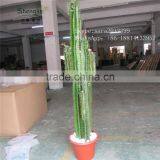CHY030930 Landscaping Cactus Plant With Flowers/indoor Plastic Succulent Plant thumbnail-4