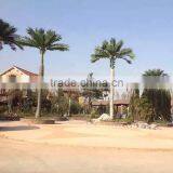 Export Factory Price Fake King Coconut Palm Trees thumbnail-2