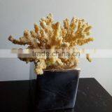 Polyresin Coral Decoration thumbnail-3