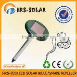 Snake Repellent Plants thumbnail-1