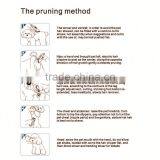 in Guangdong New Design Hair Clipper High Quality thumbnail-1