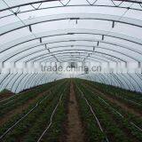 Economical Small Size Single Span Greenhouse for Agriculture thumbnail-3