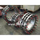 Stainless Steel Dismantling Joint