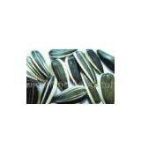 Sunflower Seed thumbnail-1
