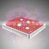 2020 New Arrivals Hydroponic Wholesale Full Spectrum 3000W LED COB Grow Light With Dual Switches thumbnail-6