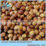 China New Red or White Sorghum Grains thumbnail-1