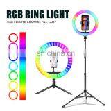Customized Logo 3 Mode Selfie Led Camera Ring Flash Fill Light Dimmable Camera Phone Ring Lamp With Stand Tripod thumbnail-4