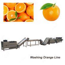 Tomato Fruit Washing Machine/Vegetable Washer Line thumbnail-2