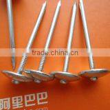 Bulk Umbrella Roofing Nail Manufacturer