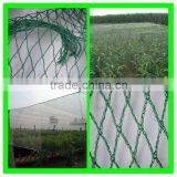 Supply Cheap Price Bird Capture Netting/woven Anti Bird Net/blue Bird Mist Net thumbnail-3