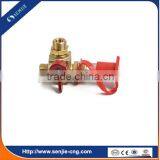 Fuel System Spare Parts Gas Precharge Valve thumbnail-4