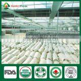 Spawn Logs of Shiitake Mushroom,Mushroom Logs for Sale,Shiitake Mushroom Logs thumbnail-6