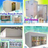 Frozen Cold Room for Meat and Fish
