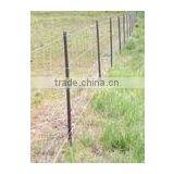 Cattle Sheep Annimal Fence/field Fence (manufacture) thumbnail-4