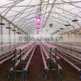 90Watt Newest Dimmable and Programmable Led Dimmable Grow Lights Best for Grow House thumbnail-5