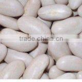 Alubia Beans thumbnail-1