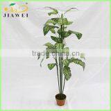 Cheap House Decorative Artificial Dieffenbachia Plant Tree for Sale