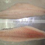 Frozen Seabass Fillet