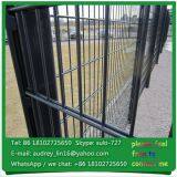 8*2+6mm, 6*2+5mm Powder Coated Green Double Wire Mesh Fence thumbnail-2