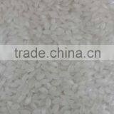 Camolino Rice thumbnail-3