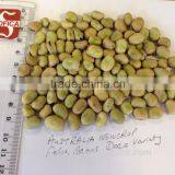 Australian Faba Beans, Fava Beans, Vicia Faba thumbnail-4