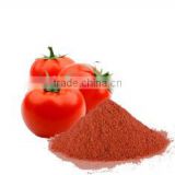GMP Approved Dehydrated Tomato Powder