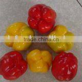 Color Pepper thumbnail-1