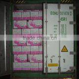 Fuji Apples Wholesale Fruit Prices thumbnail-5