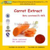 Natural Carrot Extract from Professional Manufacturer