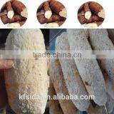 Cassava Peeling Cassava Processing Industry Machine Manufacturer thumbnail-4