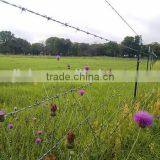 1.6mm Steel Wire Positive and Negative Twisted Barbed Wire Machine thumbnail-6