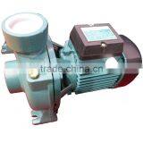 Cast Iron Centrifugal Single Phase Electric Water IP44 Pump THFm 75 thumbnail-1