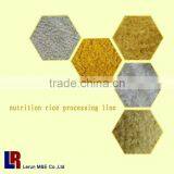 Artificial Rice Extruder Machine thumbnail-1