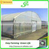 Low Cost Greenhouse Tunnels Polytunnel Green House thumbnail-4