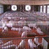 Multi-Span Greenhouse With Roll Up Motor For Ventilation Used For Animals Growing thumbnail-3