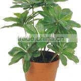 40cm Height Fake Araucaria Ficus Bonsai EMPZ02 thumbnail-1