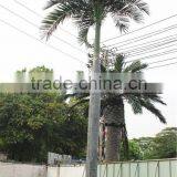Home Garden Decoration 100cm to 1000cm Height Artificial Indoor Live Plastic Ficus Red With Green Palm Tree EZLS05 1007 thumbnail-1