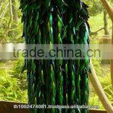 Beetle Wings 2014 Hot Sale Beetle Wings Brooches thumbnail-4