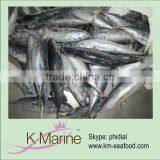 200-300g Land Frozen Pacific Mackerel wr thumbnail-1