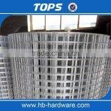 Galvanized Welded Wire Mesh for Fence Panel thumbnail-1