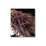 Enzyme Preparation-Heat-Stable Alpha-Amylase thumbnail-1