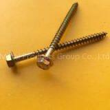 Hex Head Self Tapping Wood Screw thumbnail-2