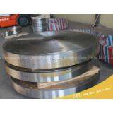 FLANGE,BLIND,150 LB, RF 40