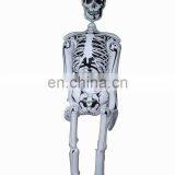 Halloween Skeleton Decoration thumbnail-1