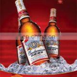 Adjustable Poster Frame Poster Folder Poster Frame thumbnail-3