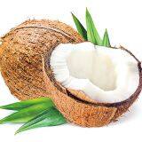 Jiejing Brand SS108 Activated Fullers Bleaching Earth Clay Powder for Hemp Oil CBD Oil Purification thumbnail-5